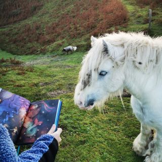 „Ja ti nie som žiadna jedlička, ty trdlo! Som Vianočný stromček, hviezdokopa.“ Vianočný stromček sa neprestával chvieť,...